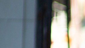 El trabajador del servicio postal también fue acusado de robar correo y fondos gubernamentales.