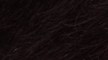 El líder demócrata en el Senado, Charles Schumer.