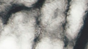 El presidente Donald Trump dejando la Casa Blanca el 20 de enero de 2021.