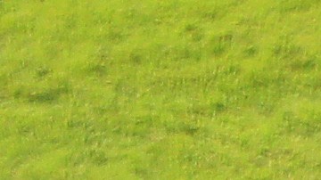 Aaron Rodgers se llevó una paliza en la Semana 6 contra Tampa Bay.