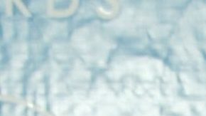 Marc Anthony y Dayanara Torres