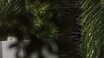 La Policía de Orlando confirmó el arresto de la madre y el padrasto del menor.