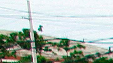 La presencia de fuertes vientos propician la caída de líneas de alta tensión.