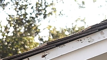 En 2018, un derrumbe en Montecito, California acabó con la vida de 17 personas.