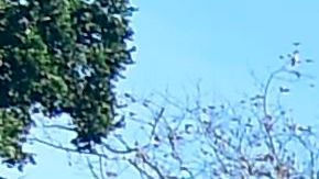 Deslaves, uno de los mayores riesgos en áreas montañosas. Imagen de Montecito en 2018.