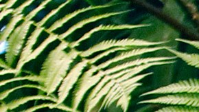 La injerencia de Cuba en Venezuela fue castigada por EE.UU.