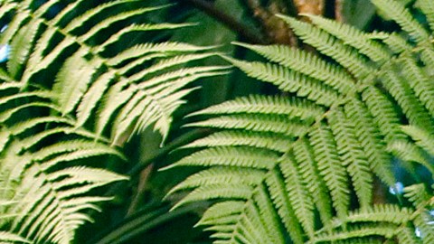 La injerencia de Cuba en Venezuela fue castigada por EE.UU.