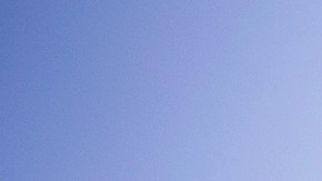 Los menores quedaban bajo la custodia de HHS.