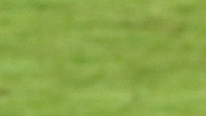 Guido Pizarro enfrentando a Carlos Vela en la final de Concacaf.