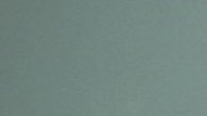 La sospechosa Alysia Hargraves.