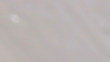 Foto: Madeline Walden/Aquarium of the Pacific