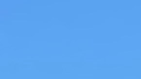 Trabajadores del Centro TODEC Legal registran a campesinos para que se vacunen contra covid. (TODEC Legal cortesía)