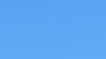 Trabajadores del Centro TODEC Legal registran a campesinos para que se vacunen contra covid. (TODEC Legal cortesía)