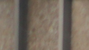 Activistas se manifiestan desde el centro de Los Ángeles.