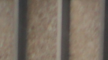 Activistas se manifiestan desde el centro de Los Ángeles.