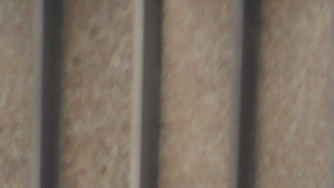 Activistas se manifiestan desde el centro de Los Ángeles.