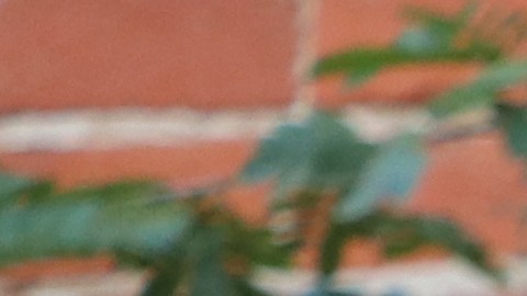 Najee Alí lanza fuertes críticas al gobernador Gavin Newsom