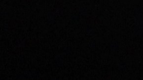 El entrenador de Tigres verá desde la tribuna el Atlas vs. Tigres.