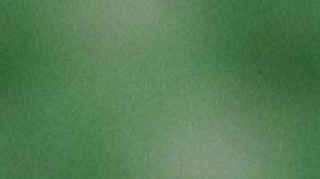 "Cabecita" Rodríguez