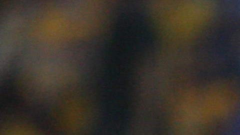 Jorge Torres Nilo de Tigres