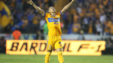 Jorge Torres Nilo de Tigres