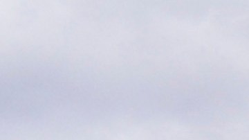 Diego Láinez envió todo su apoyo desde España hasta México para Mauro.