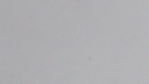 La Plaza de la Cibeles de Madrid cubierta de nieve por la tormenta Filomena.