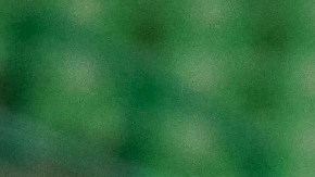 Martín Pérez Padrón dirigió 25 partidos a las 'Guerreras'.