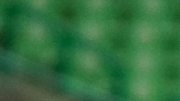 Martín Pérez Padrón dirigió 25 partidos a las 'Guerreras'.