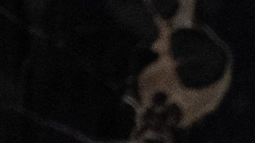 El vicepresidente Mike Pence.