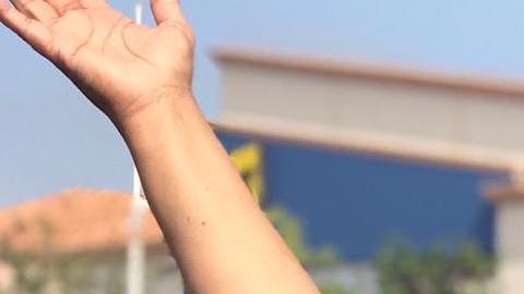 Mayra Todd, 34 años esperando por una reforma migratoria.(Cortesía Mayra Todd)