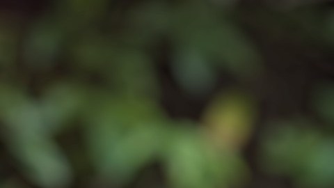 El muñeco Mistake ayudó a entender que el equivocarse es parte del proceso educativo. (Cortesía)