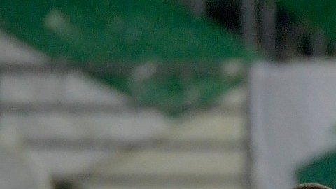 Palmeiras es el primer finalista de Copa Libertadores.