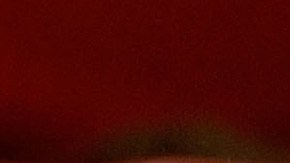 Pat-Miletich-UFC-capitolio