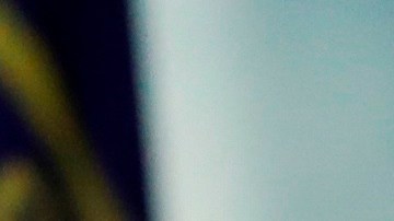 Pelosi pidió que se retire a Trump de la Presidencia.