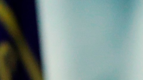 Pelosi pidió que se retire a Trump de la Presidencia.