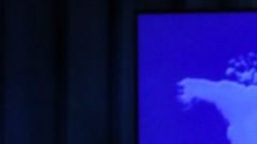 Pompeo hizo el anuncio este lunes.