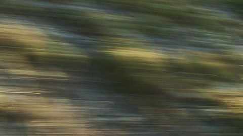 Porsche-Boxster-25-Aniversiario-130121-05