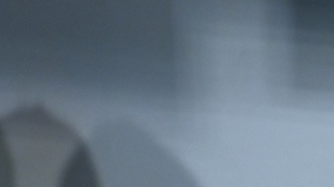 El 'Tuca' Ferretti constantemente está involucrado en la polémica.