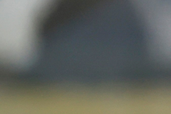 Trump incitó a "parar el robo" de las elecciones. Después ocurrió el asalto al Capitolio.