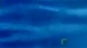 VIDEO: Así interceptaron narcosubmarino del Cártel de Sinaloa