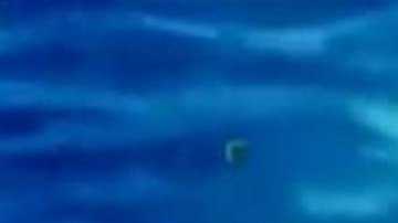 VIDEO: Así interceptaron narcosubmarino del Cártel de Sinaloa