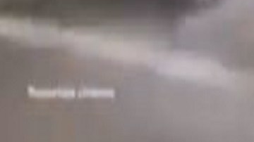 VIDEO: Momento exacto que dispara y mata a perrita; piden identificarlo