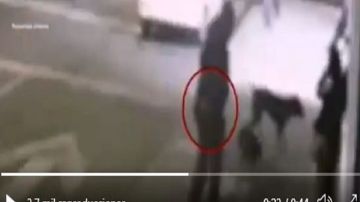 VIDEO: Momento exacto que dispara y mata a perrita; piden identificarlo