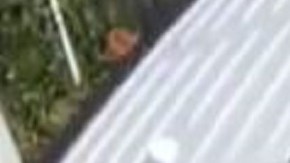 VIDEO: Momento exacto que pandillero de MS-13 mata a exnovia, Karen Ruiz en California