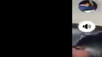 VIDEO: Así ataca el Cártel de la totoaba a ambientalistas que protegen a la vaquita marina