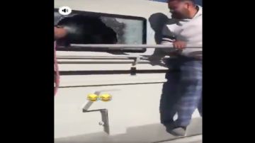 VIDEO: Así ataca el Cártel de la totoaba a ambientalistas que protegen a la vaquita marina