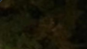 VIDEO: Cae el Maicol, peligroso narco, lo agarraron tras una persecución