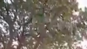 VIDEO: El Mencho del CJNG va ganando la batalla, afirma