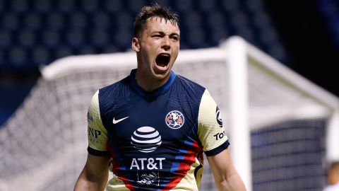 Viñas América